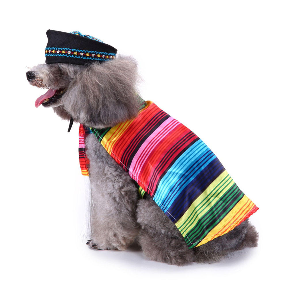 Pet Dog Complete Mexican Poncho Cloak Black Sombrero Hat Outfit Costume
