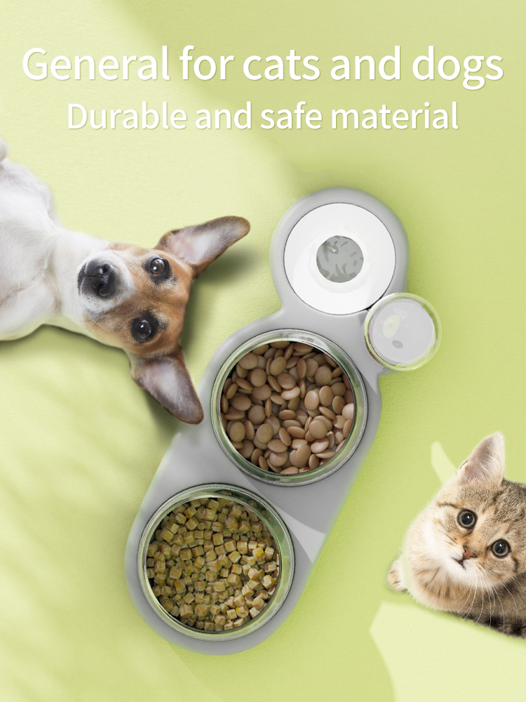  Discover the Ultimate Convenience with the Pet Station Feeder: The Perfect Solution for Busy Pet Owners