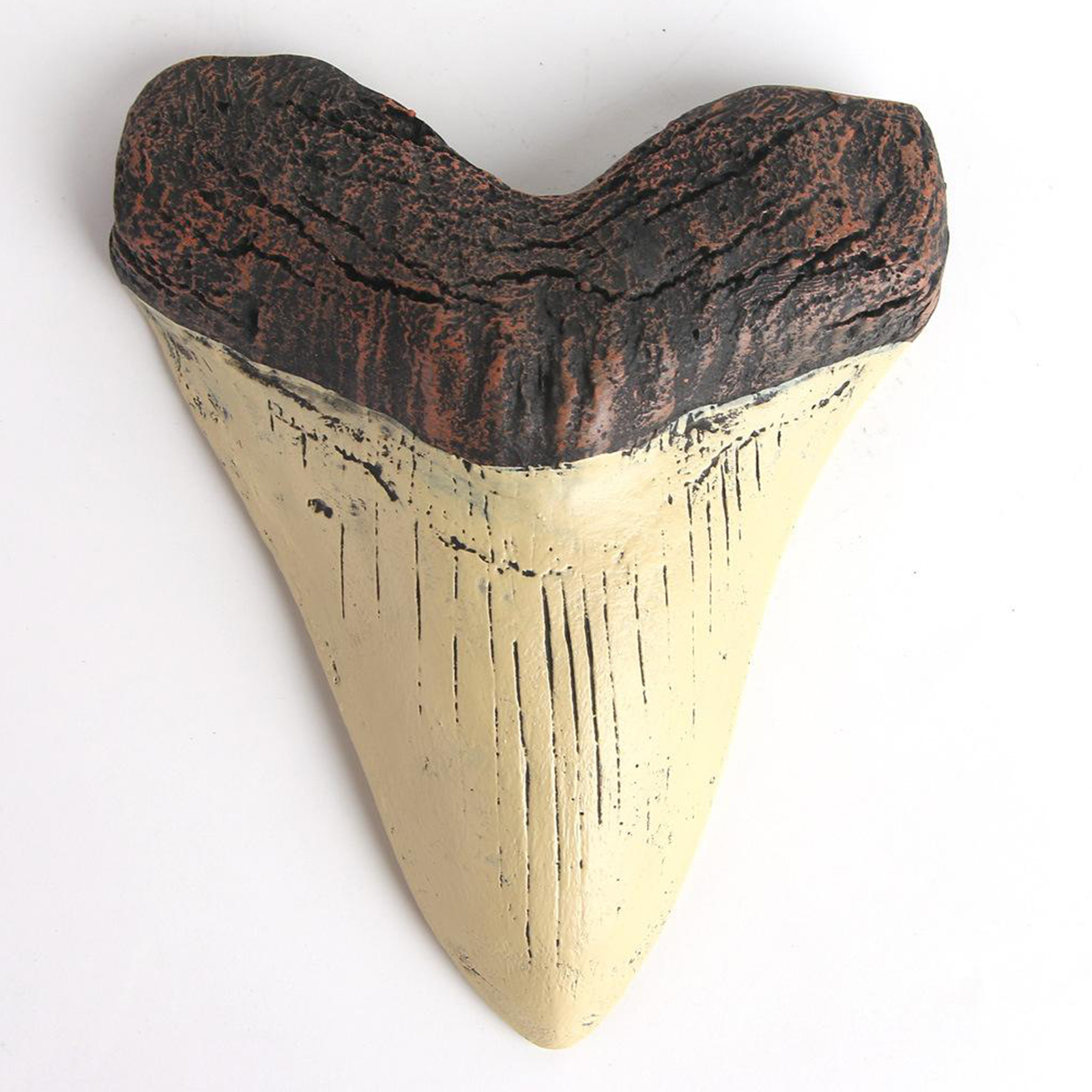 Giant Shark Teeth SKULL Figurine Model Halloween Home Decor Collectibles