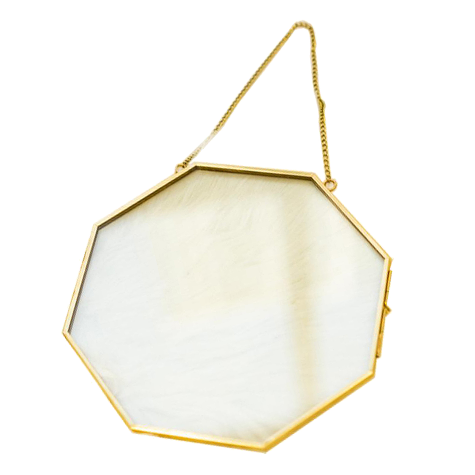 Brass Hanging Photo Frame for Display Plant Specimen Dried Flowers DIY