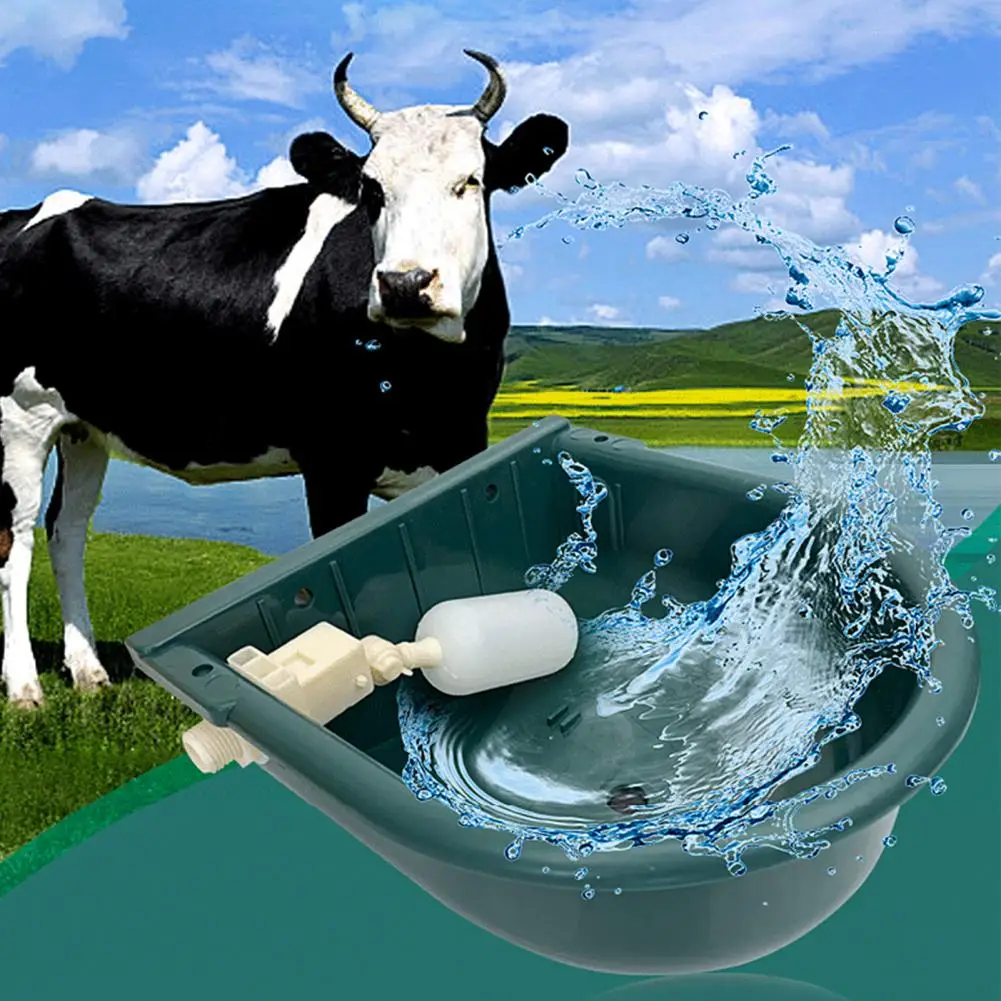 calha automático alimentador de água suprimentos gado