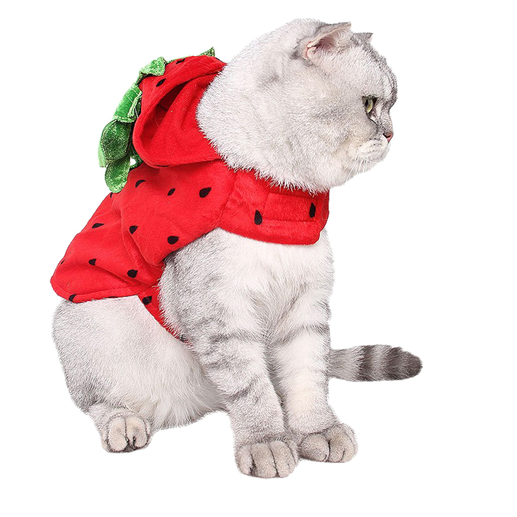 Cute Cat Costume Strawberry Hooded Clothes Halloween Daily Wear Pet Apparel