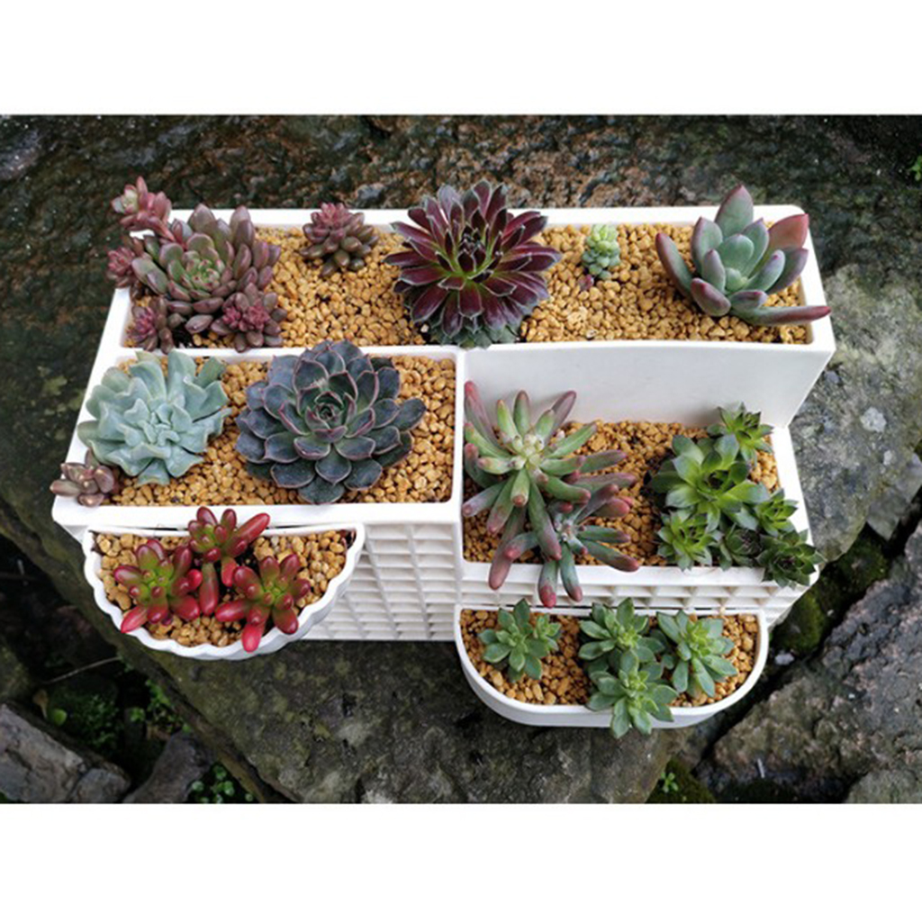 Succulent Planter Pots Desktop Cactus Plant Flower Pot DIY Garden Home Decor