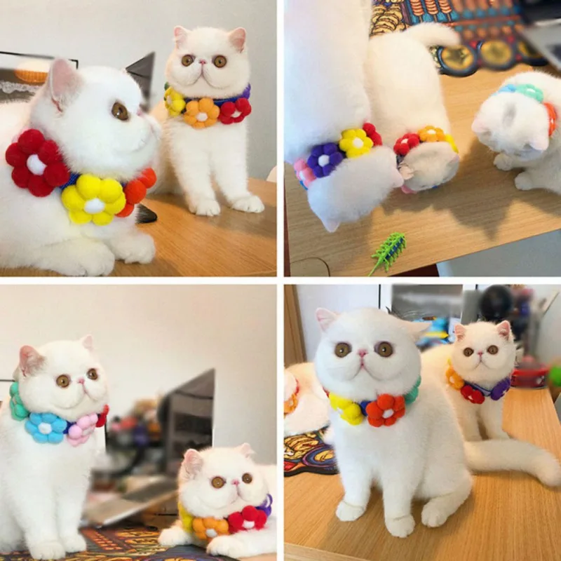 La imagen es un collage de cuatro fotografías que muestran gatos blancos con coloridos accesorios en forma de flores alrededor del cuello. Los gatos parecen ser de raza persa, caracterizados por su pelaje largo y rasgos faciales distintivos.