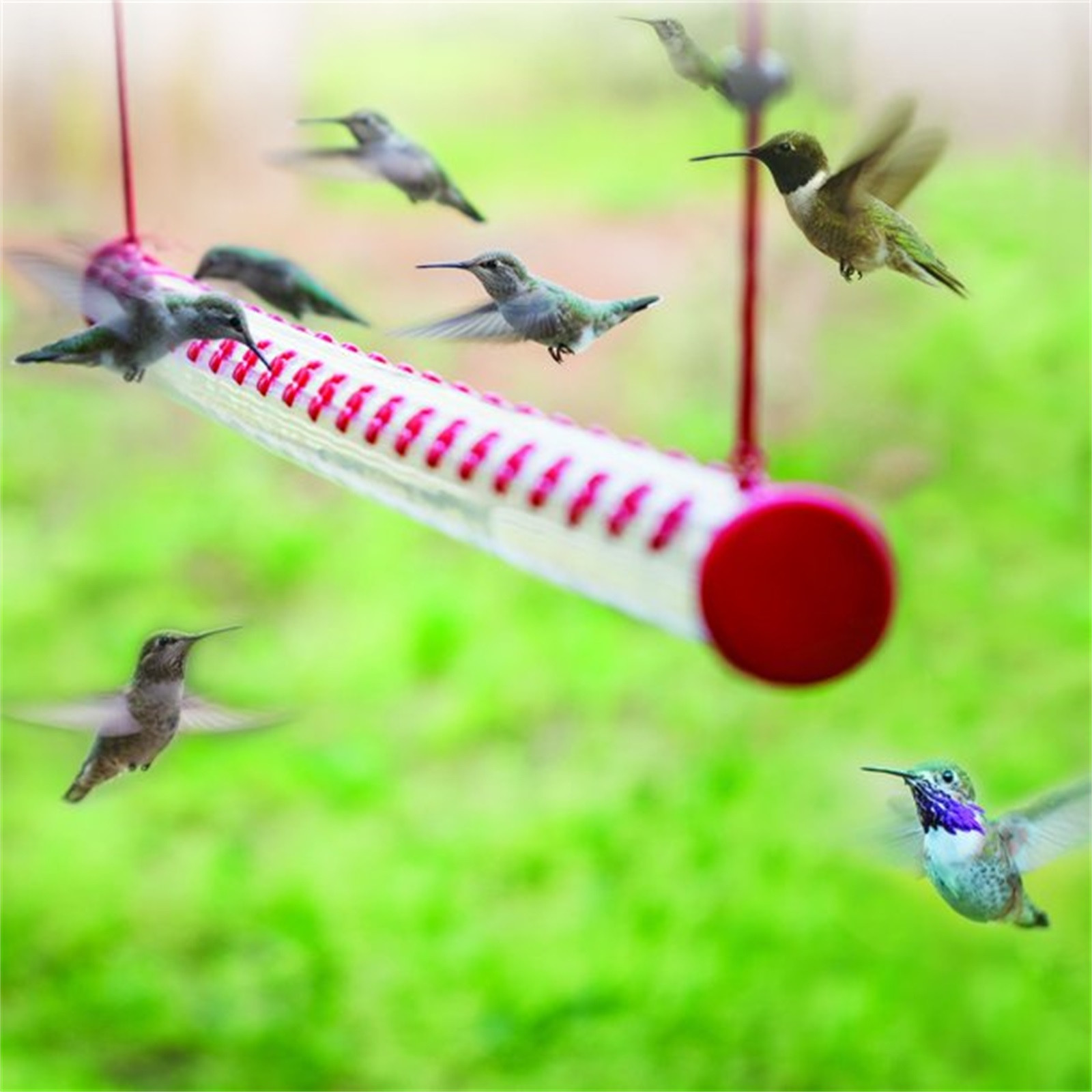 pvc pipe hummingbird feeder