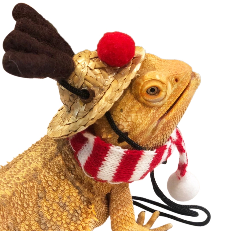 Small Animal Christmas Costume Guinea Pigs Hat and Scarf for Hamster H