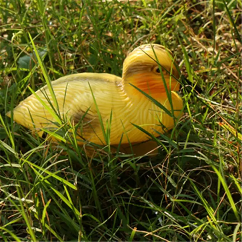 Amuzocity Baby Ducking Floating Decoy Ducks Mallard, Plastic Ornament