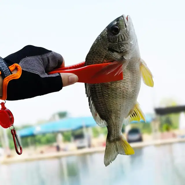 30% Discounts Hot! Fish Control Plier Portable Non-slip ABS Fish Clip  Catcher Fishing Gear Supplies for Fisherman