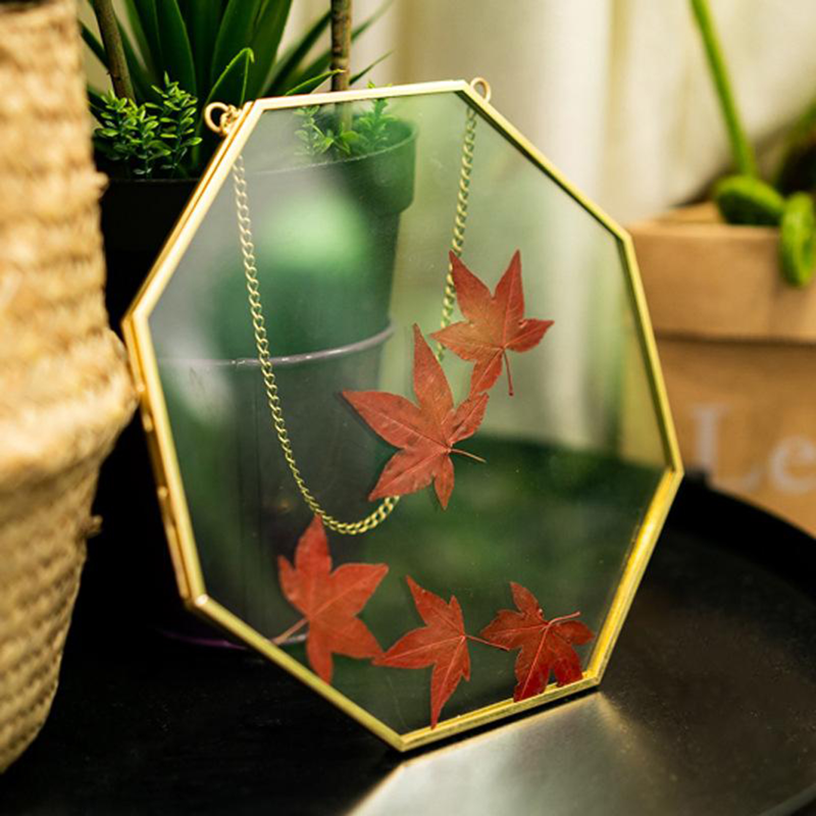 Brass Hanging Photo Frame for Display Plant Specimen Dried Flowers DIY