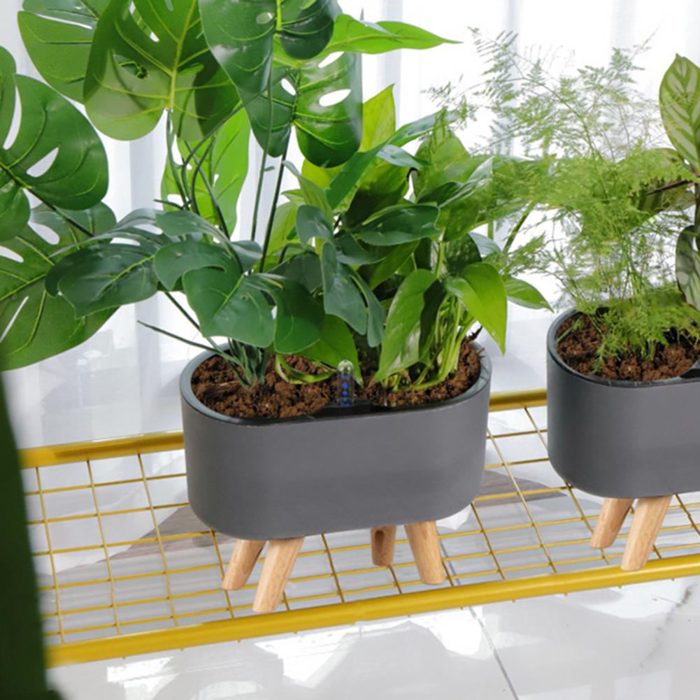 rega automática flor planta titular pátio decoração