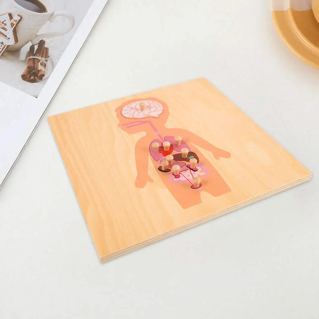 Educational Wooden Puzzles Montessori Science Puzzle Boys And Girls Ages 3+