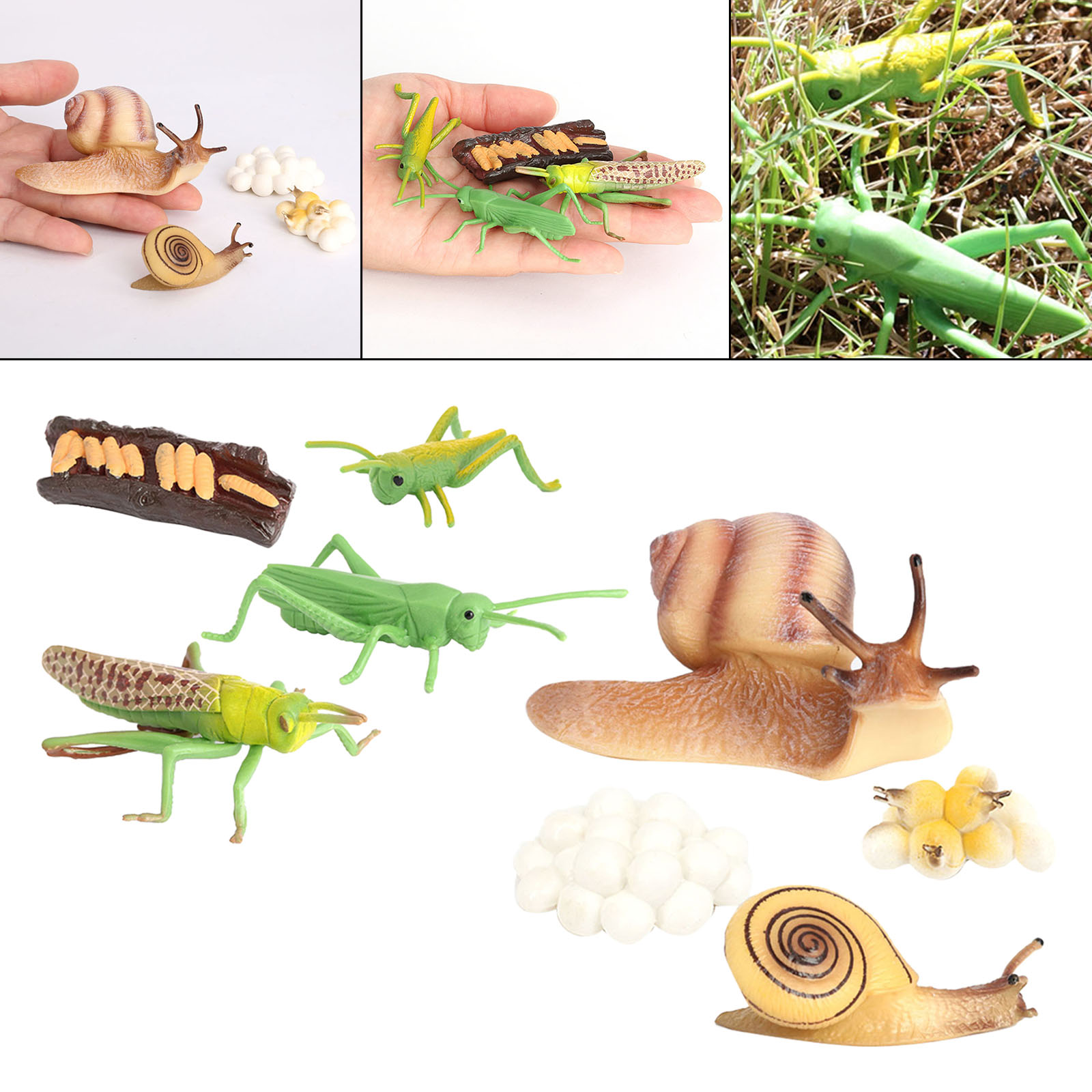 Kids Simulation Animal Figures Toys Grasshopper Snail Growth Process Models