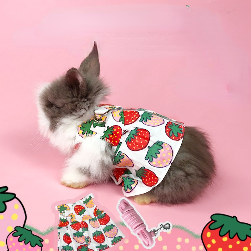 Pet Rabbit Clothes Suppliers atelieryuwa.ciao.jp