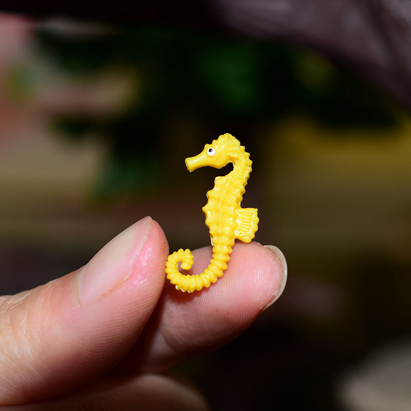 Miniature Oceans Animal Model Turtle Alligator Whale Shark Dolphin Penguin Clownfish Frog Sea World Mini Figurine Decor Toys