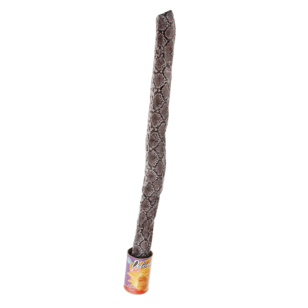 Novelty Funny  Out Snake in A Potato Chips Can Party Prank Joke Gag Gifts