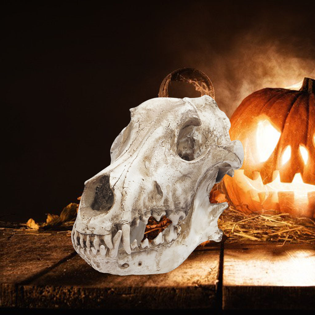 Modern Resin Art Wolf Skull Sculpture Aquarium Ornament Skeleton Statue Turtle Lizard Toy Halloween Office Bedroom