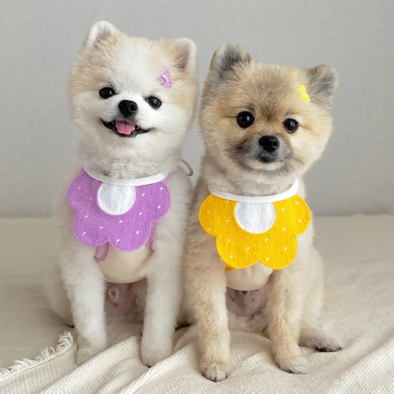 Dos perros pequeños, probablemente pomerania, sentados uno al lado del otro. Llevan cuellos a juego con estampado de flores, uno en morado y otro en amarillo. Los perros tienen un pelaje esponjoso y miran directamente a la cámara con una expresión algo sorprendida o curiosa.