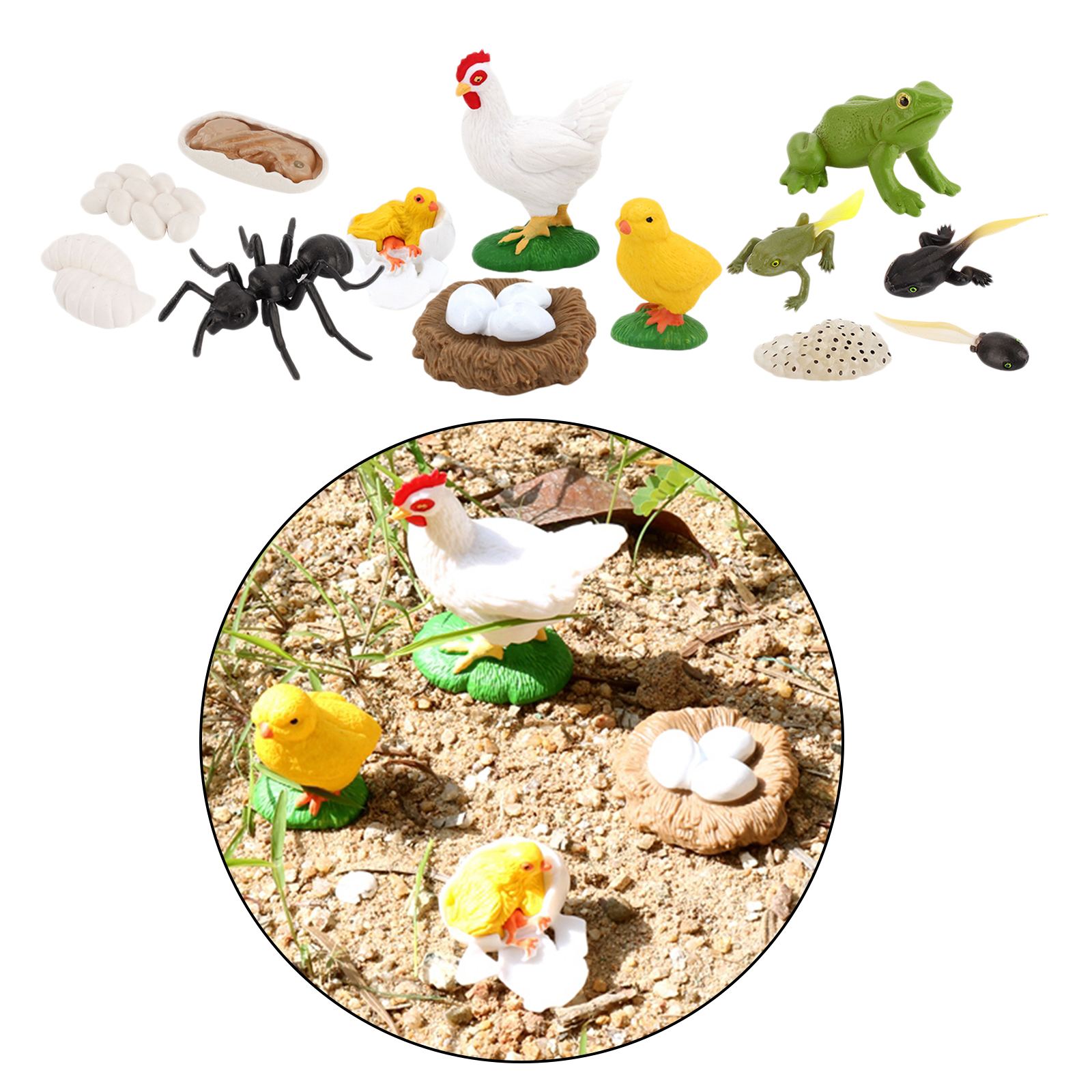 Kids Simulation Animal Figures Worker Ant Hen Frog Growth Process Playset