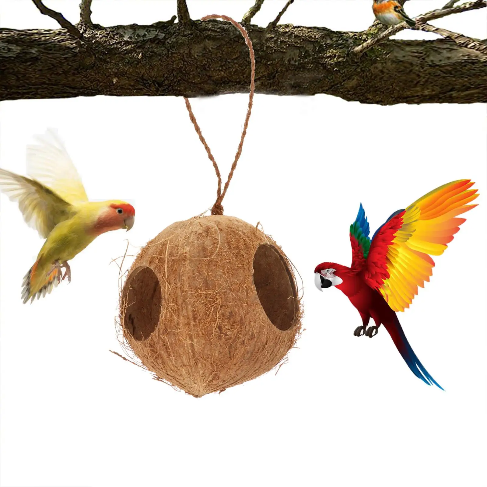 Natural Safety Coconut Bird Nest Parakeet Hut Habitats ing Ornament Toy