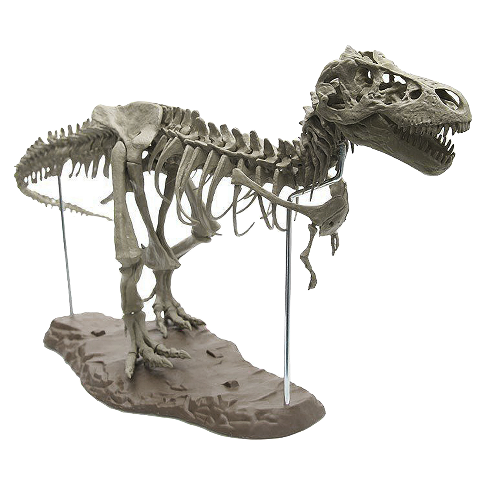 4D Dinosaur Skeleton Model Blocks Kit Unassembled Gift for Kids Boys Girls
