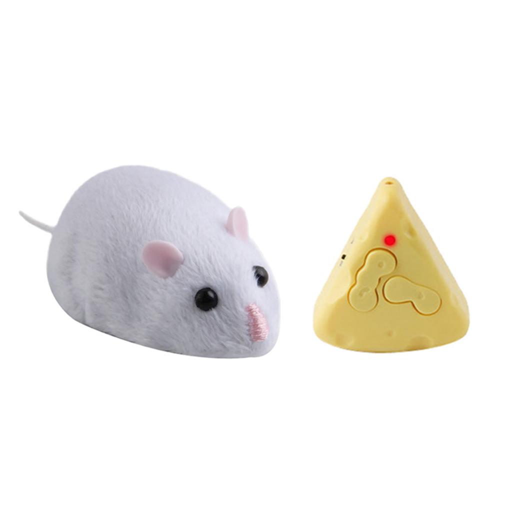 Electronic Movable Mouse Rat RC Toy Chew Training  Funny Toy