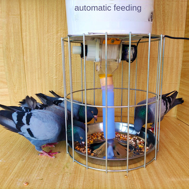 Automatic hot sale pigeon feeder