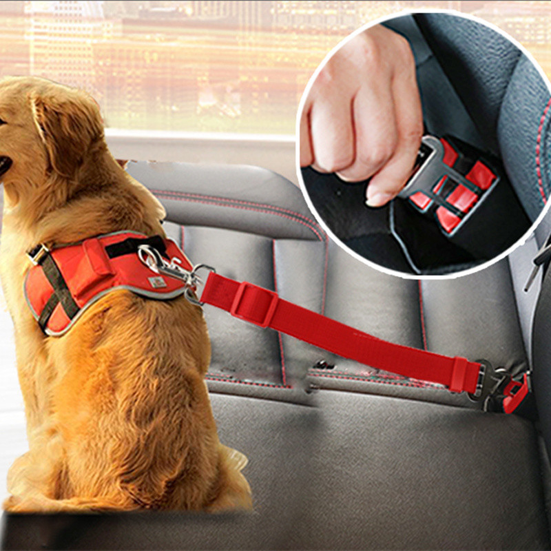 Title 12, Ceinture de sécurité de voiture pour chien, acc...