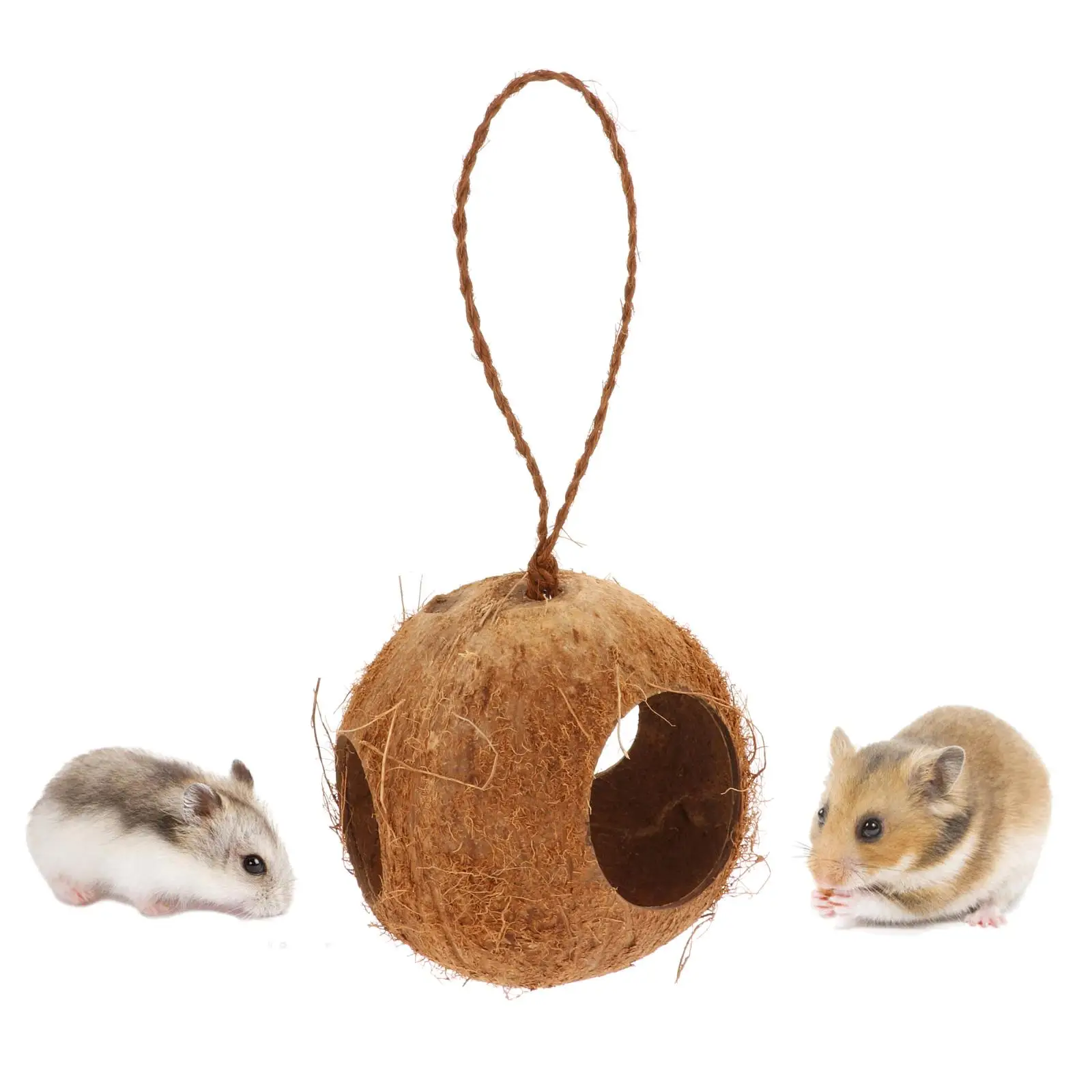 Natural Safety Coconut Bird Nest Parakeet Hut Habitats ing Ornament Toy