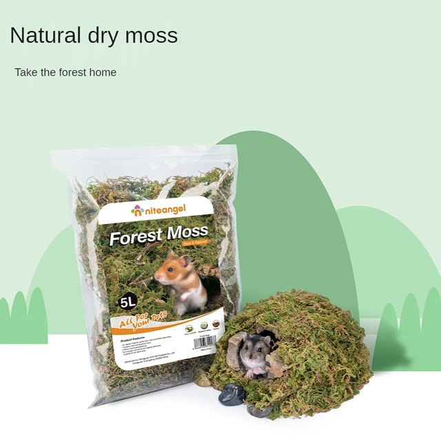 Natural Dried Moss Hamster Bedding Dust-free Hamster Padding Hamster Cage  Landscaping Supplies Hamster Accessories - AliExpress