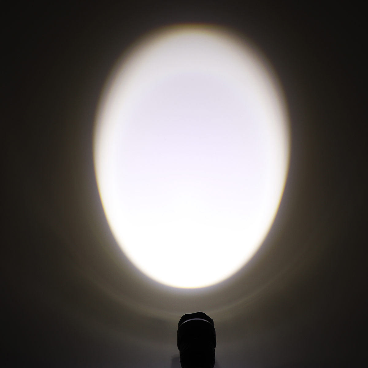 28827-description-9-l0.jpg