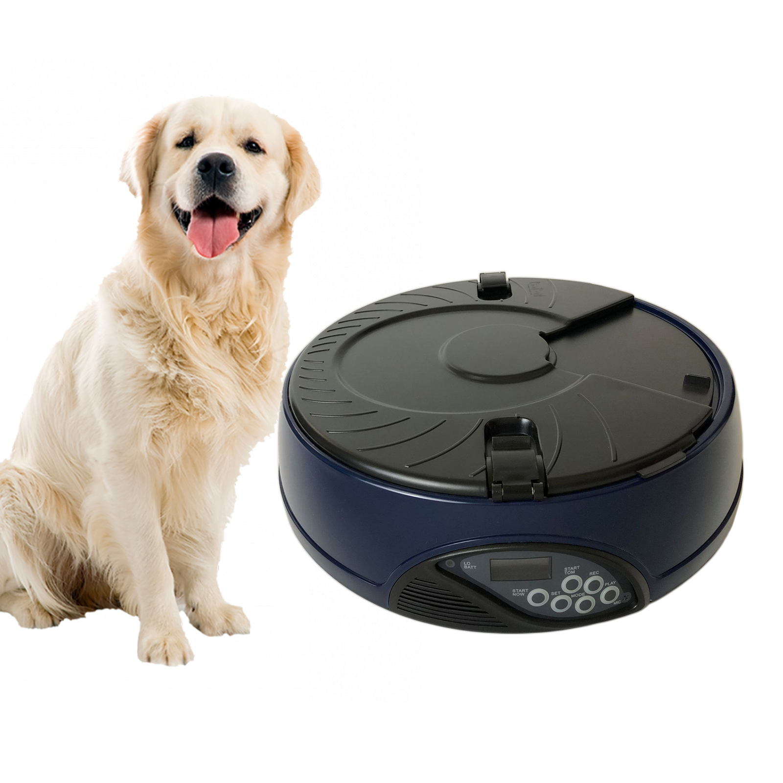 Automatic Pet Feeder Smart ABS 6 Meal Portion Control Kitten Puppy Food Dispenser Intellect Programmable Dogs Cats Bowl Rabbits