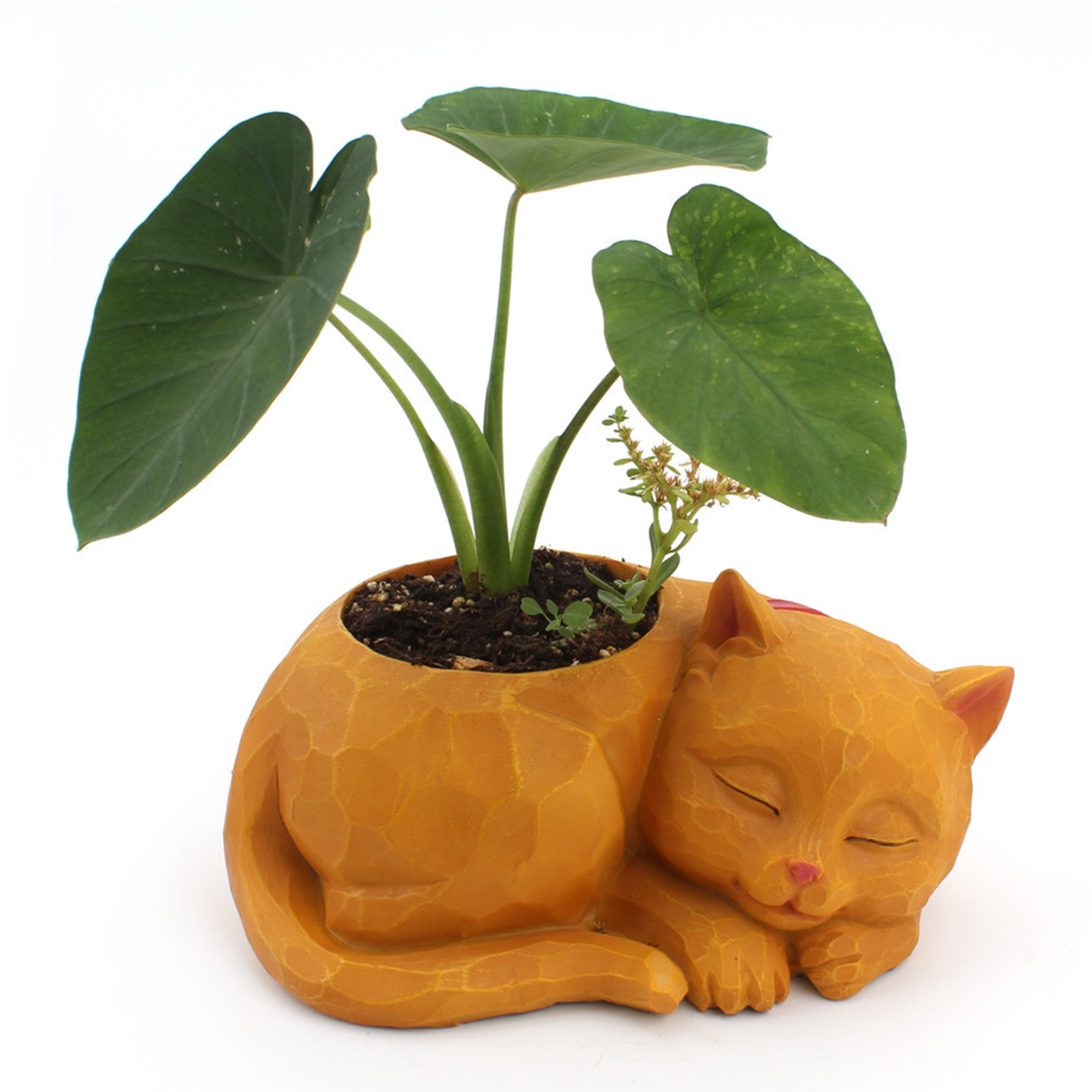 Lovely Sleeping Cat Succulent Cactus Flowerpot Resin Herb Planter Container for Home Office Decoration