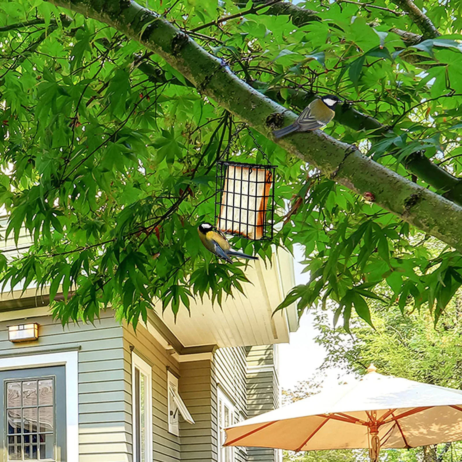 Hummingbird Feeder Bird Bowls Hanging Feeder Courtyard Bird Feeder Courtyard Villa Balcony Hanging Rainproof Pet Bird Feeder