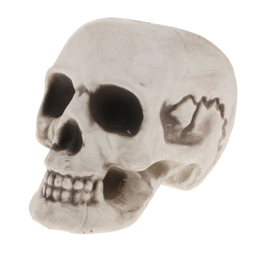 Plastic Skull Head Figurine Skeleton Model Statue Halloween Decoration Indoor Outdoor Home Table Desk Ornament Shop Display