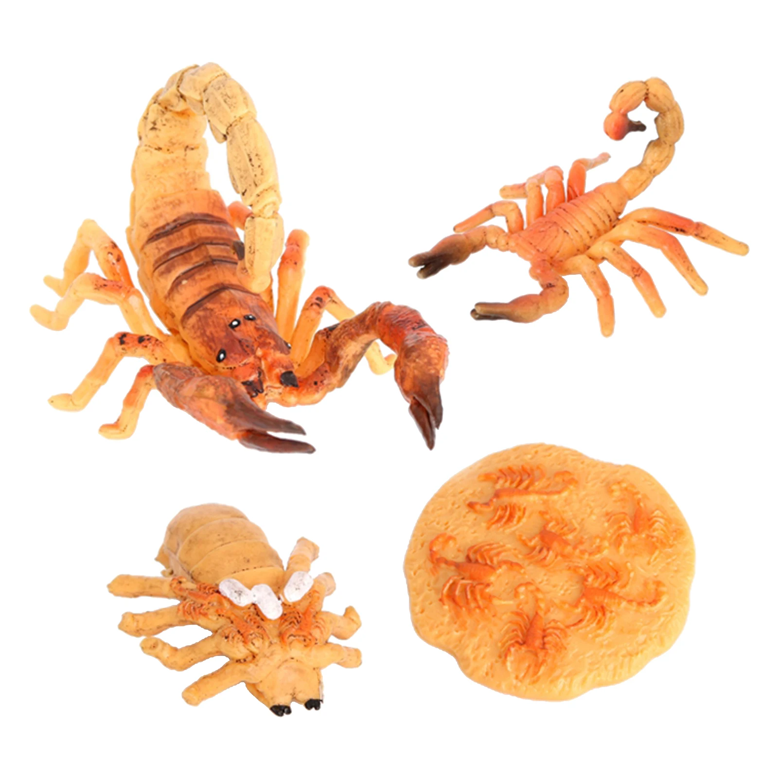 Kids Simulation Scorpion Life Cycle Model Action Toy & Preschool Prop Yellow