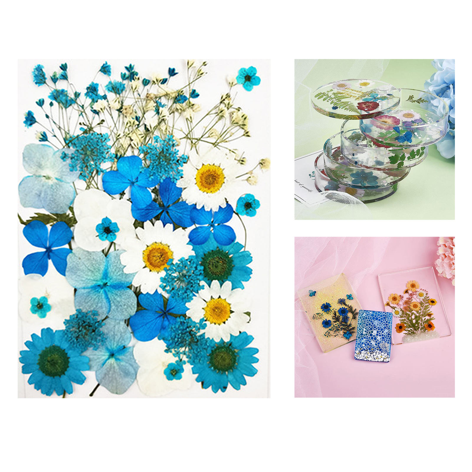 Real Natural Mixed Dried Pressed Flowers Leaves Petals for Nail Art, DIY Jewelry Design, Resin Phone Case,  Card, Stationery