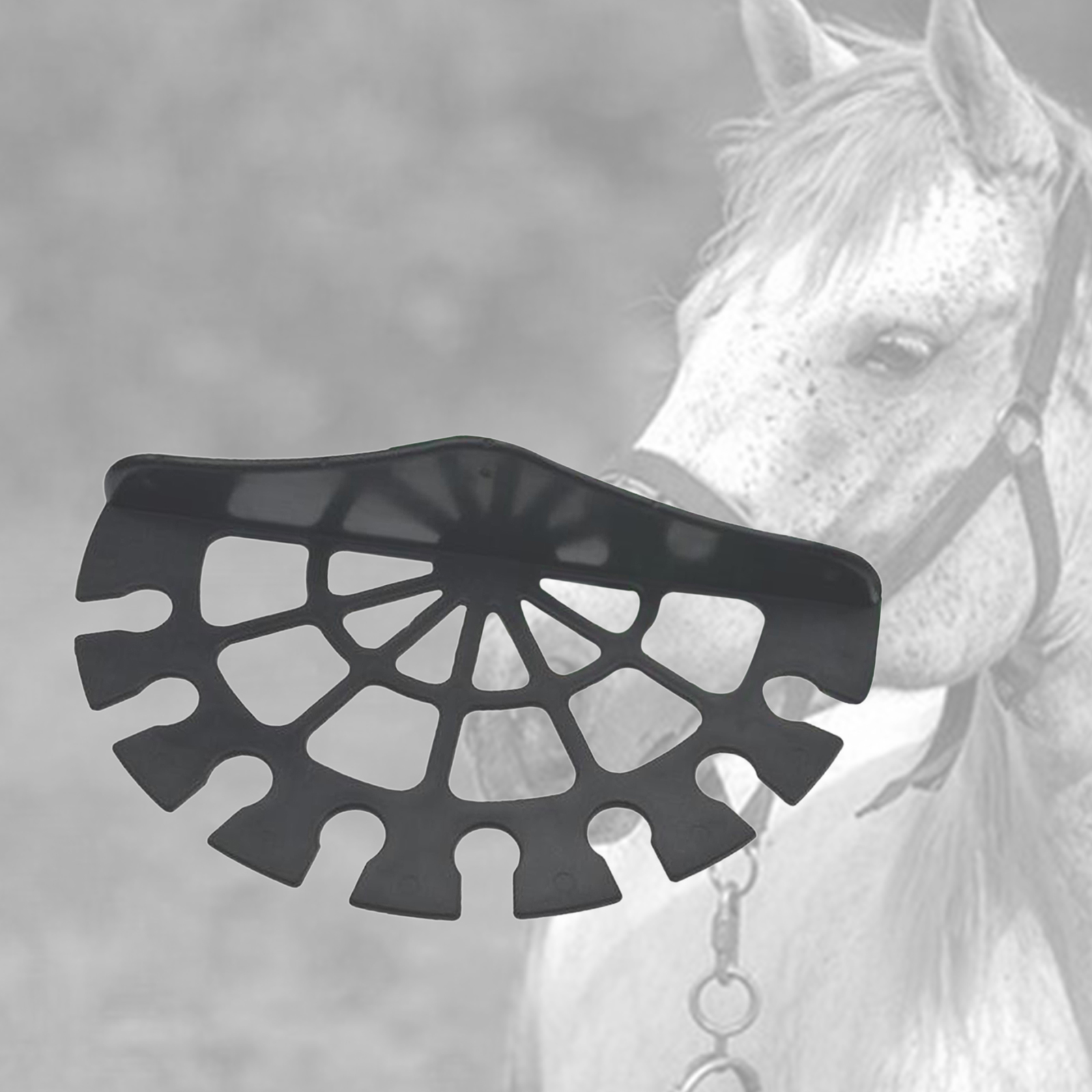 Horse Stables Whip Rack Bracket Hanger Holder Tack Room Accessory Riding Whips Dressage Whips Storage Bracket