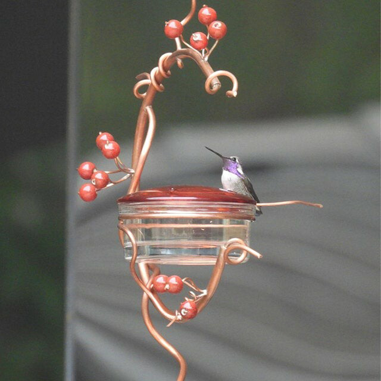 Hummingbird Feeder Bird Water Drinker Feeder Waterer With 4 Ports Pet Bird Supplies Dispenser Bottle Drinking Cup Bowls For Parr Hummingbird Feeder Bird Water Drinker Feeder Waterer With 4 Ports Pet Bird Supplies Dispenser Bottle Drinking Cup Bowls For Parr