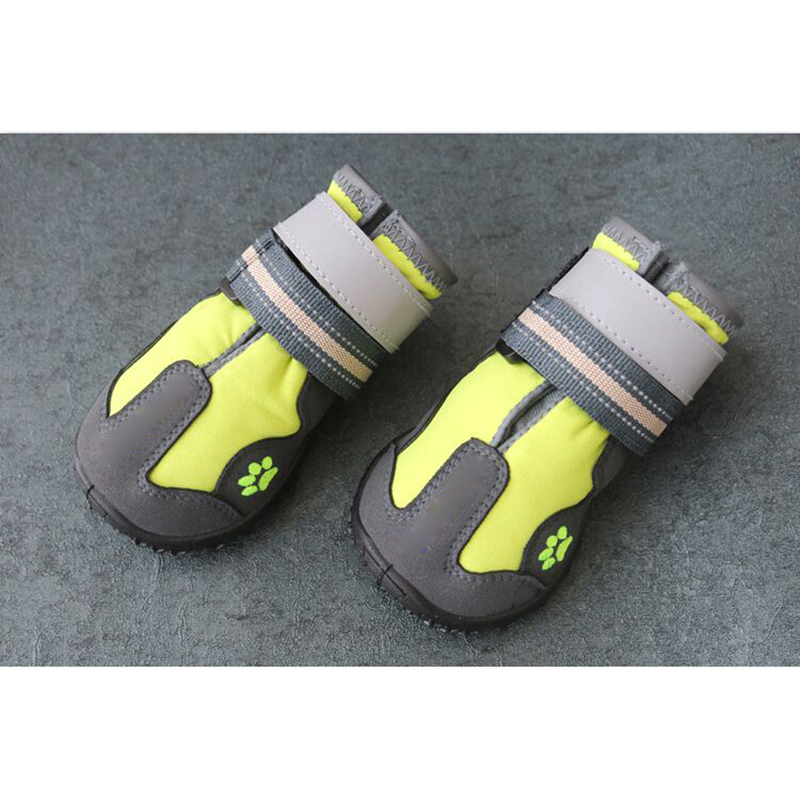 Sapatos p cães