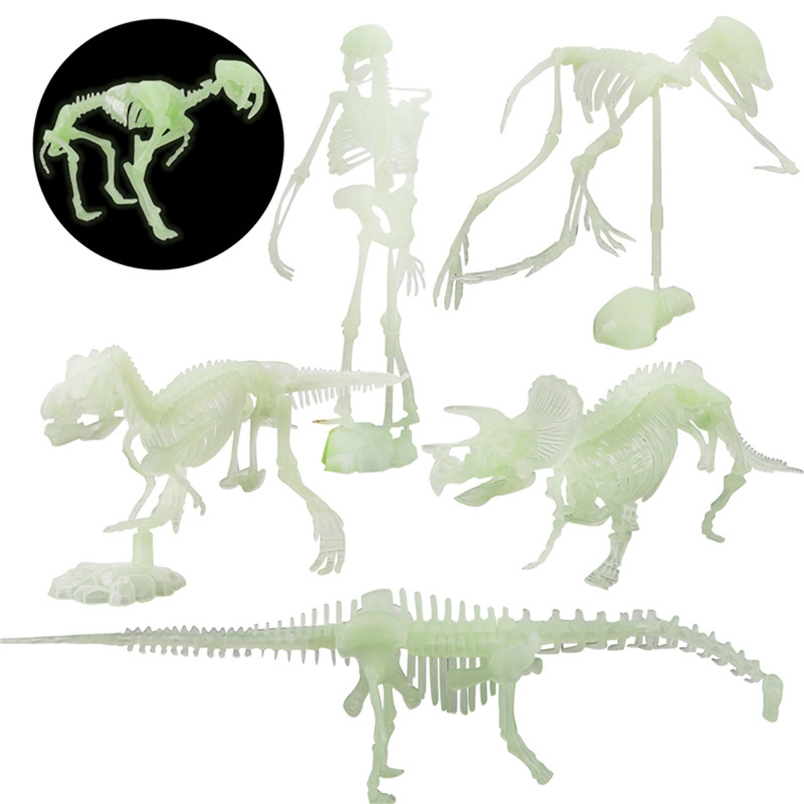 Fluorescentes de Dinossauro para Halloween Modelo de Esqueleto Ossos Humano Caveira Brinquedo Antiestresse Que Brilha no Escuro 1 Brinquedos que brilham no escuro