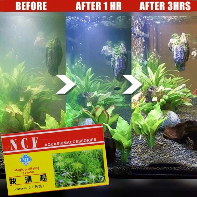 Eco Aquarium Oczyszczajacy Proszek Srodek Odstraszajacy Algi Zbiornik Moss Remover Akwarium Skuteczny Bezpieczny Uciazliwy Srodek Do Usuwania Alg Eco Aquariu Sklep Online Tanie Tanio Akcesoria