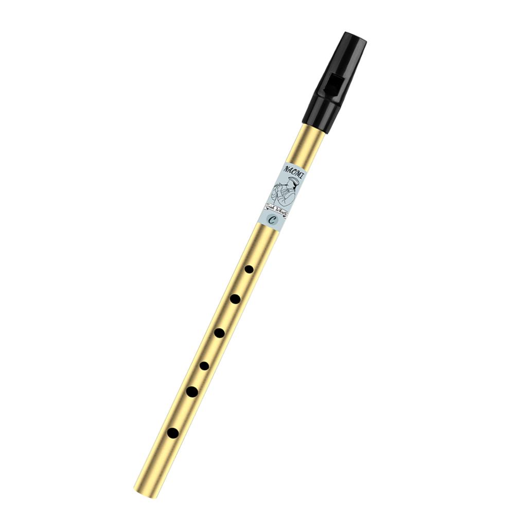 Irish Whistle Flute D C Key 6 Hole Tin  Whistle Nickel Brass