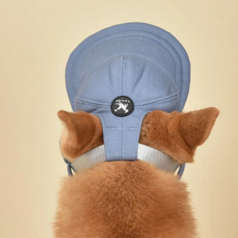 Un perro con gorra de béisbol. La gorra es azul con un logo en el frente y parece tener un tamaño que se adapta a la cabeza del perro. El perro tiene un pelaje marrón claro y mira hacia un lado, con la parte posterior de la cabeza y las orejas visibles.