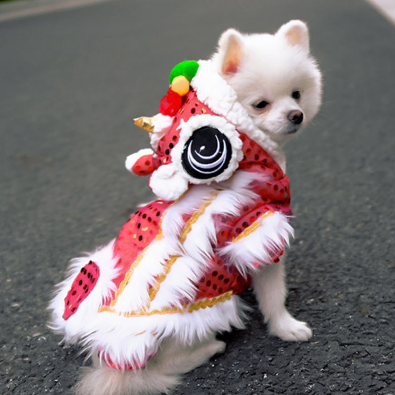 festival da primavera, cão pequeno, ano novo, inverno