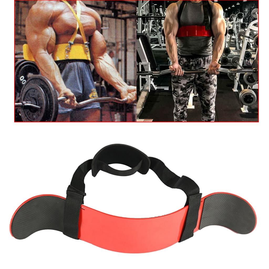 Arm Blaster Bicep Isolator Bar Tricep Curl Bomber Weightlifting Gym Training