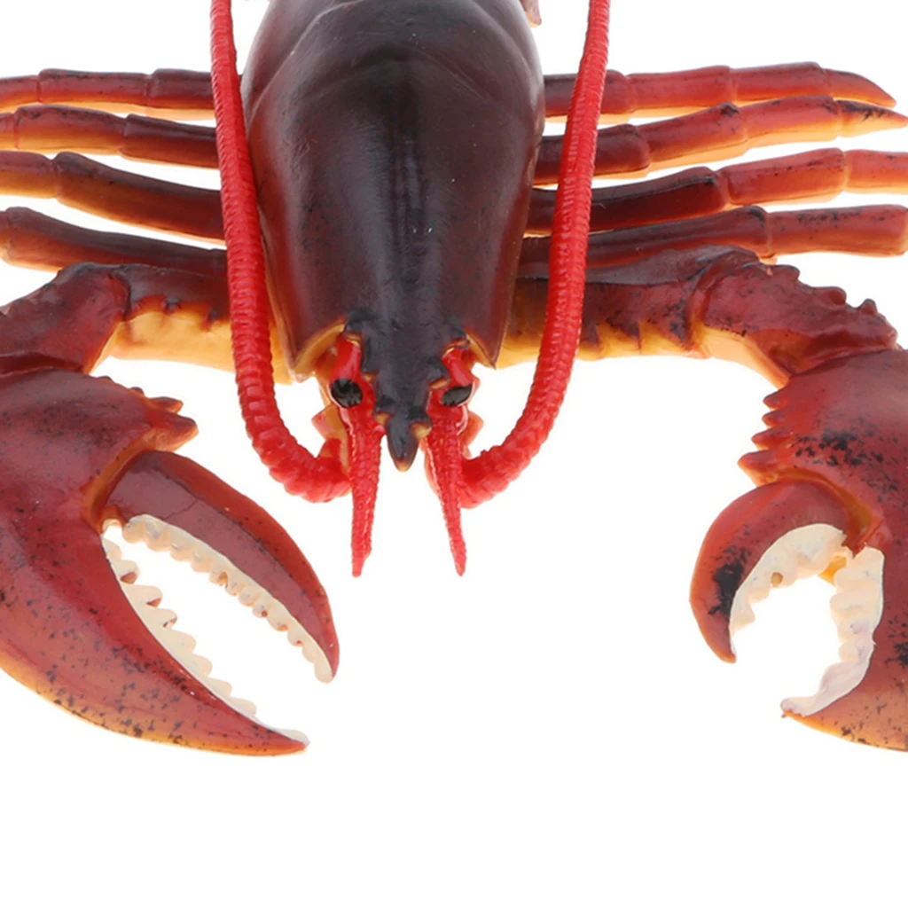 9 Inch Realistic Marine Animal Model Figurines Red Lobster Action Figure Toy for