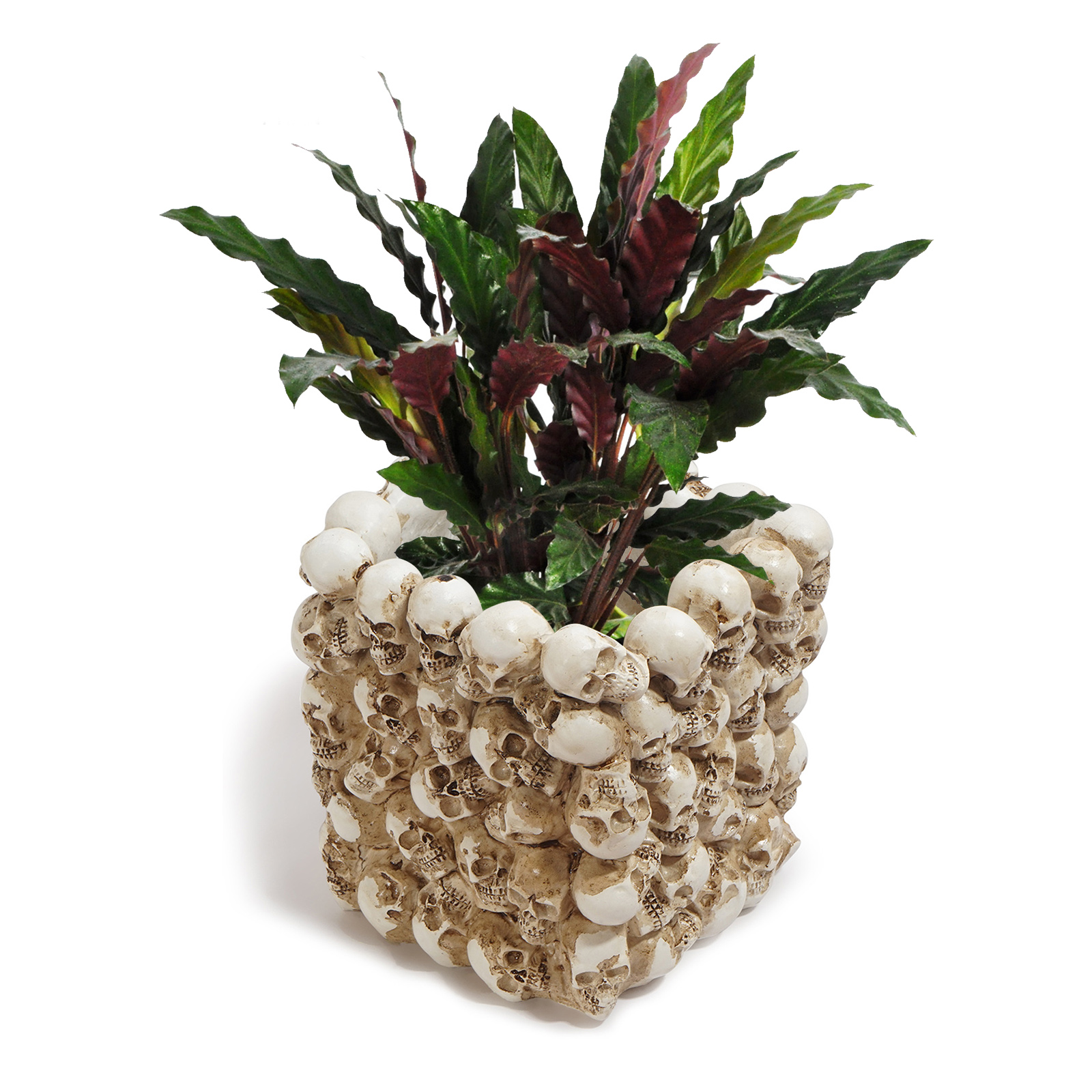 Resin Skull Model Flower Pot Office Supplies Storage Container Succulent Flower Pot Home Decoration Crafts