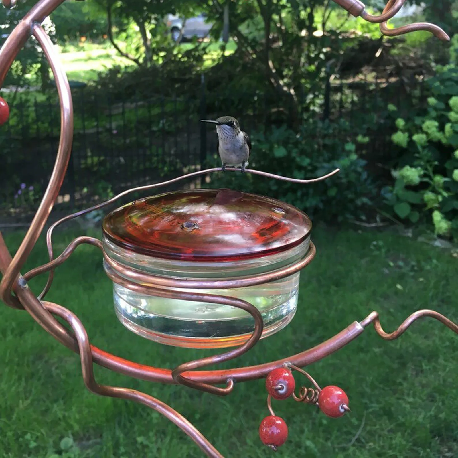 Hummingbird Feeder Bird Water Drinker Feeder Waterer With 4 Ports Pet Bird Supplies Dispenser Bottle Drinking Cup Bowls For Parr