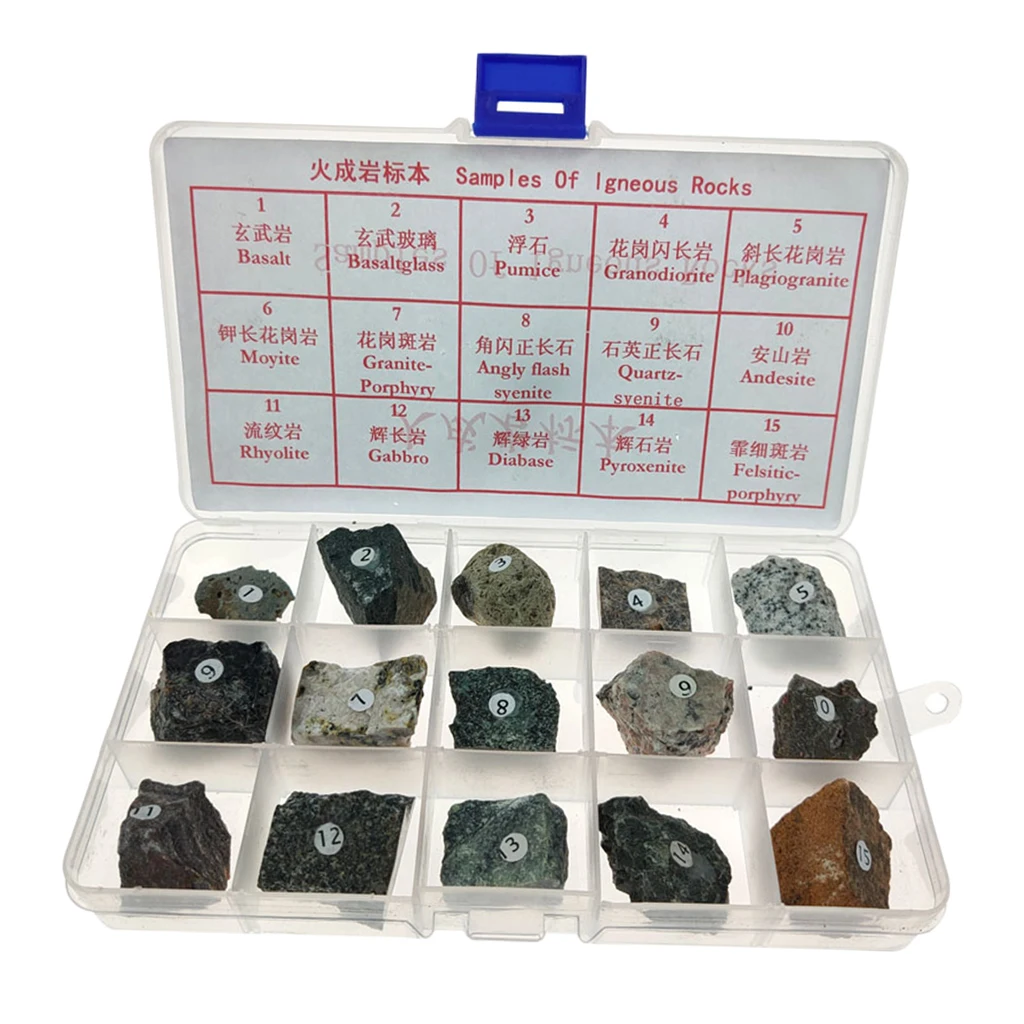 Igneous Rock Specimen Collection Real Stone Teaching Aid Supplies w/ Box