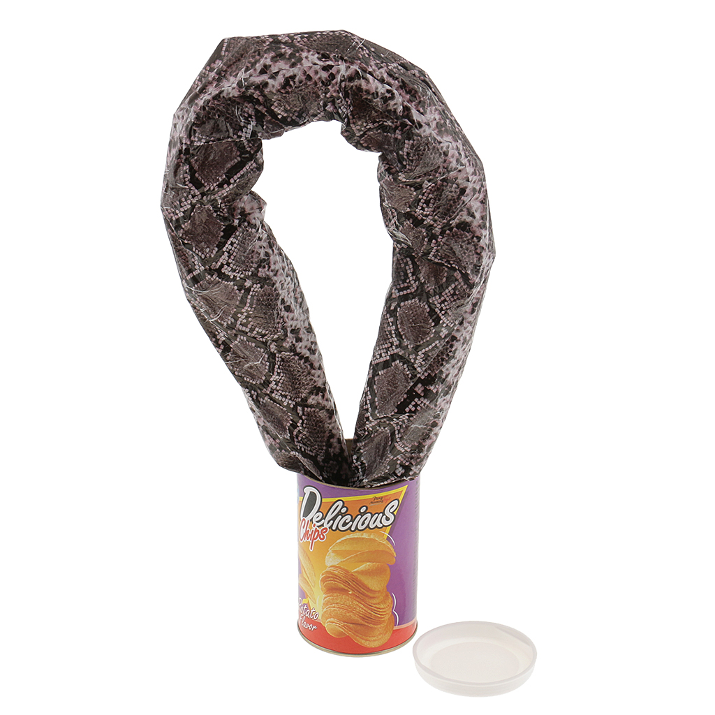 Novelty Funny  Out Snake in A Potato Chips Can Party Prank Joke Gag Gifts